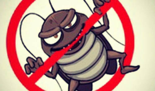 Предотвращение появления в доме тараканов